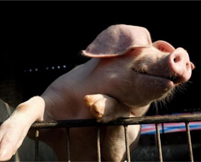 20190531170137743774