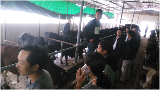 ��ҳ| PP������Ϸ�й����ٷ���վ