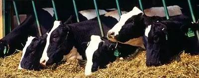 ��ҳ| PP������Ϸ�й����ٷ���վ