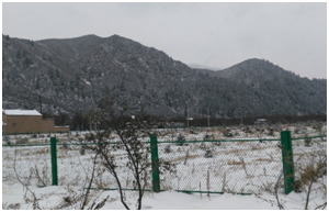 ��ҳ| PP������Ϸ�й����ٷ���վ