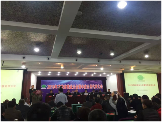 ��ҳ| PP������Ϸ�й����ٷ���վ