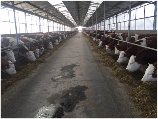 ��ҳ| PP������Ϸ�й����ٷ���վ