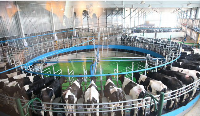 ��ҳ| PP������Ϸ�й����ٷ���վ