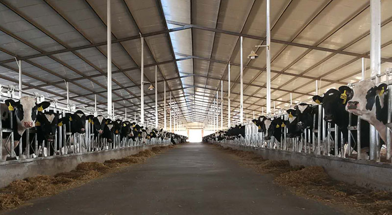 ��ҳ| PP������Ϸ�й����ٷ���վ