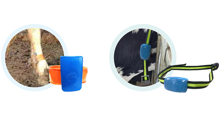 ��ҳ| PP������Ϸ�й����ٷ���վ