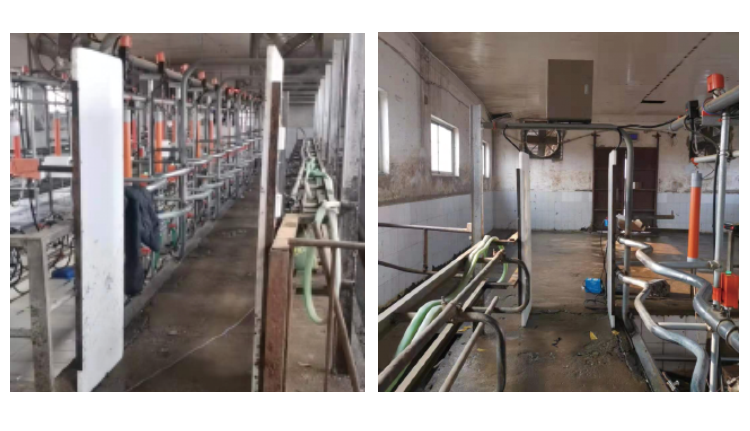 ��ҳ| PP������Ϸ�й����ٷ���վ