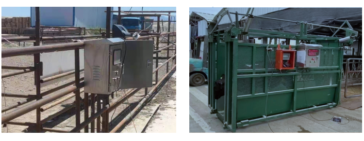 ��ҳ| PP������Ϸ�й����ٷ���վ