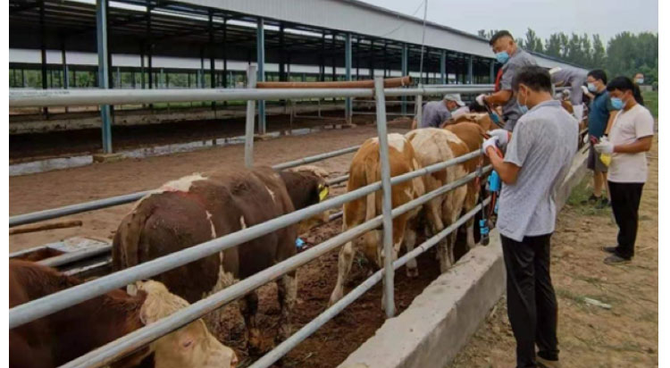 ��ҳ| PP������Ϸ�й����ٷ���վ