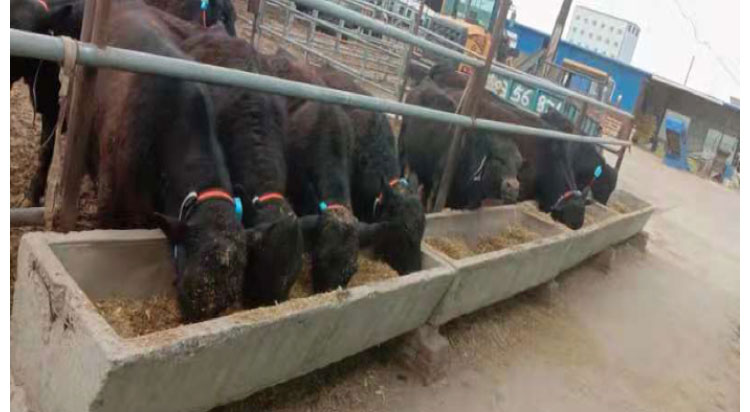 ��ҳ| PP������Ϸ�й����ٷ���վ