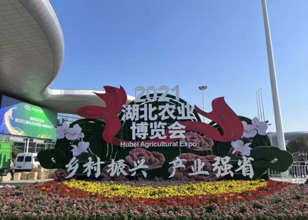 ��ҳ| PP������Ϸ�й����ٷ���վ