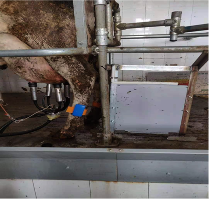 ��ҳ| PP������Ϸ�й����ٷ���վ