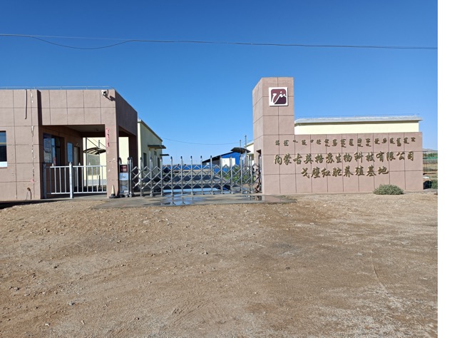 ��ҳ| PP������Ϸ�й����ٷ���վ