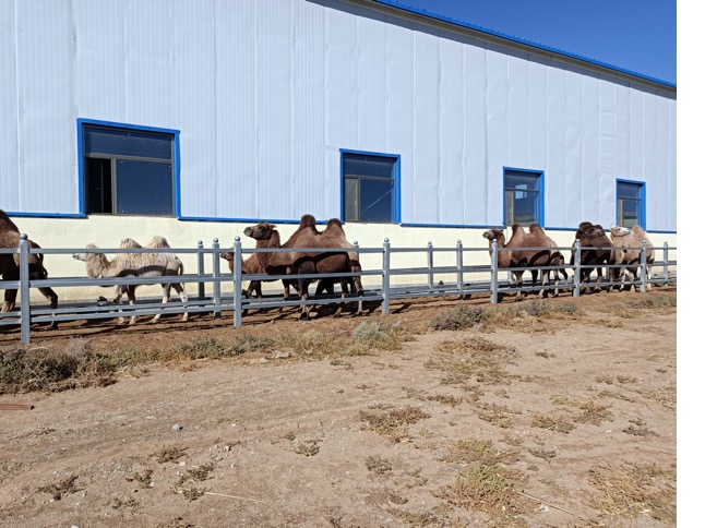 ��ҳ| PP������Ϸ�й����ٷ���վ