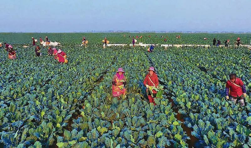 ��ҳ| PP������Ϸ�й����ٷ���վ