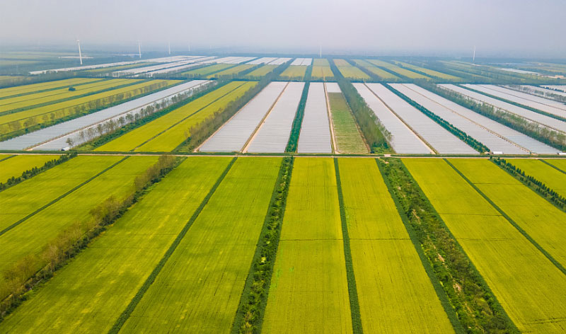 ��ҳ| PP������Ϸ�й����ٷ���վ