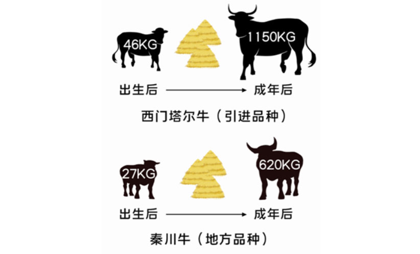 ��ҳ| PP������Ϸ�й����ٷ���վ