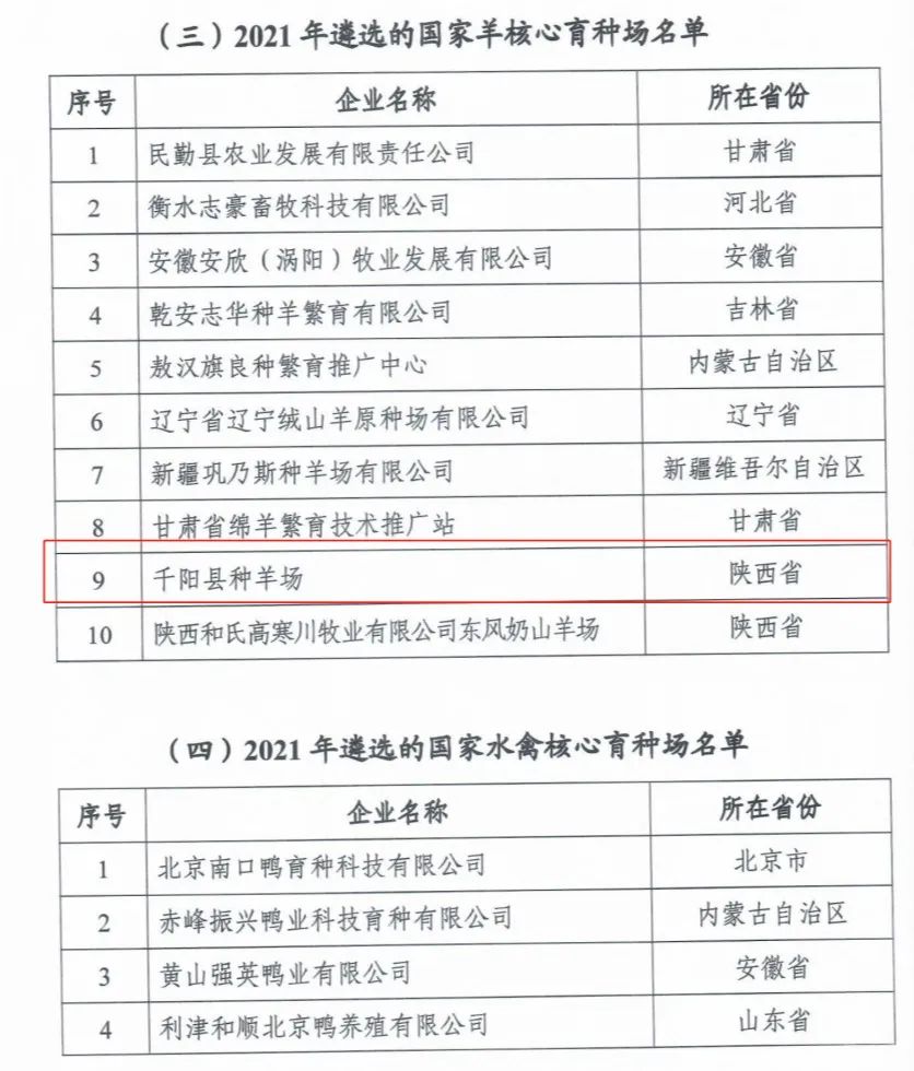 ��ҳ| PP������Ϸ�й����ٷ���վ