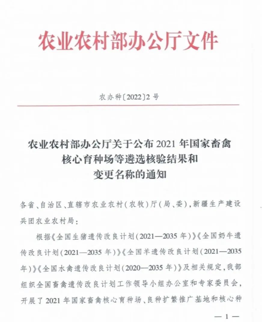 ��ҳ| PP������Ϸ�й����ٷ���վ