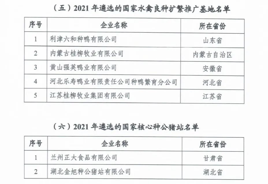 ��ҳ| PP������Ϸ�й����ٷ���վ