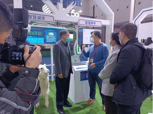 ��ҳ| PP������Ϸ�й����ٷ���վ