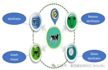 ��ҳ| PP������Ϸ�й����ٷ���վ