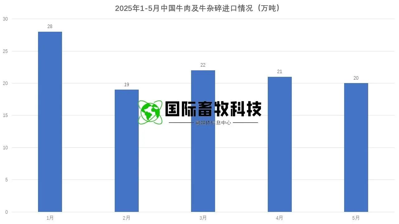 ��ҳ| PP������Ϸ�й����ٷ���վ