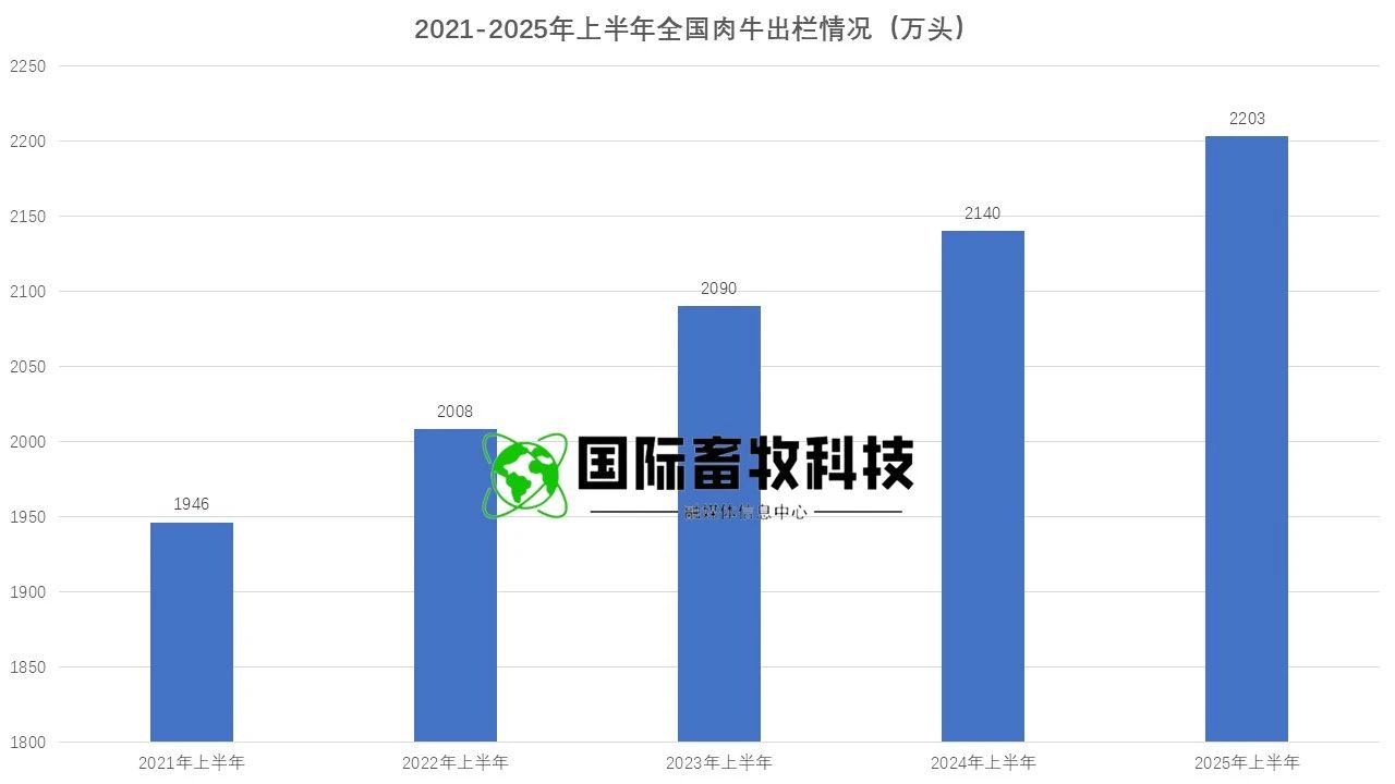 ��ҳ| PP������Ϸ�й����ٷ���վ